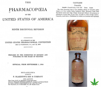 Cover of 1916 US Pharmacopeia, the pharmacopeia entry for cannabis indica, and 2 antique cannabis-containing medicine bottles